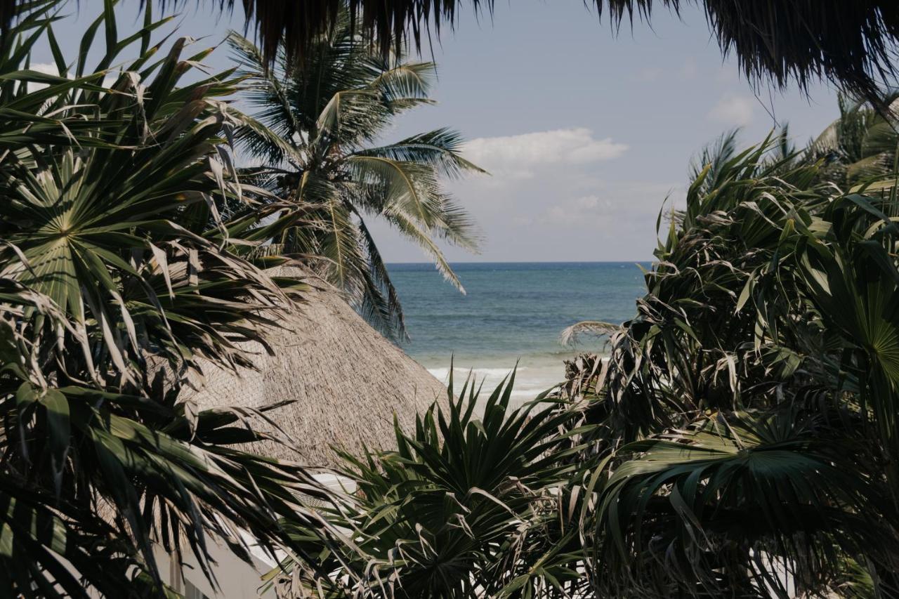 Hotel Tuup Tulum Exteriér fotografie